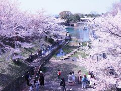 岡崎通りから動物園の横を歩いて、琵琶湖疏水記念館まで来ました。

風で桜吹雪が舞って、思わず歓声がでました。