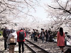 蹴上インクライン

もちろん桜はすごいけど、人もすごい！
もし誰もいなくて独り占め出来たら、最高だろうなー。
