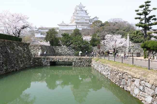 姫路城の桜めぐり 姫路 兵庫県 の旅行記 ブログ By 旅好き長さんさん フォートラベル 姫路城の桜めぐり 姫路 兵庫県 の旅行記 ブログ By 旅好き長さんさん フォートラベル