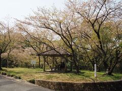 ここも桜の名所のようでした。満開の頃は圧巻でしょうね。