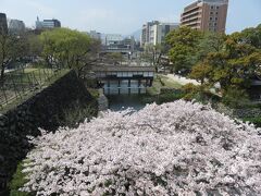 高い石垣から下を眺める。天守閣があったところだろう。