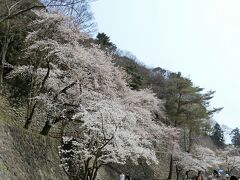 尾山神社裏手に出ると、金沢城。ここは桜がとてもきれいでした。そのまま歩いて香林坊のデパートをチラッと見てから駅へ戻りました。