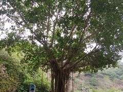 小港海岸のバス停です。
ここから、中山峠を目指します。