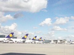 ルフトハンザ機の並ぶ、フランクフルト空港に到着。