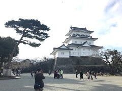 実は小田原城に来たの初めてだったりする。
そんなに遠くないから余計に「いつでも行ける」感があってね…ｗ