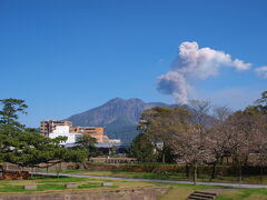 城山からシティビューで石橋記念公園へ。
この公園から眺める桜島も迫力があった。