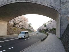 ひがし茶屋街から歩いてきても良かったのですが、なんせ歩かない金沢市民（笑）
県営兼六駐車場に移動。
（兼六）園下にて。