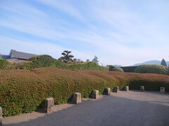 入園料500円を払い国の名勝に指定された七つの庭園を見学する。
写真の庭園は平山亮一庭園で石組みのない庭園だ。
イヌマキが遠山、サツキの大刈込みが築山のよう。

桜は見られなかった。
が、知覧武家屋敷の庭園を見るならサツキの季節だと思った。