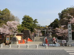 ここも、桜は満開でした。