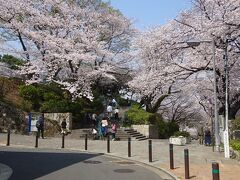 掃部山公園（かもんやまこうえん）

今日の花見は、桜木町駅から１５分の掃部山公園。
駅から紅葉坂を登って、県立音楽堂の裏にある。


