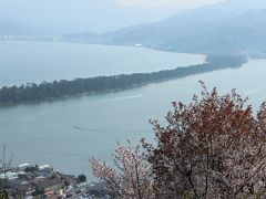 この季節ならではの風景天橋立と桜、とてもいいものでした。