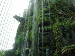 次はガーデンズ・バイ・ザ・ベイ
植物園か室内滝か選べて
こちらにしました。
