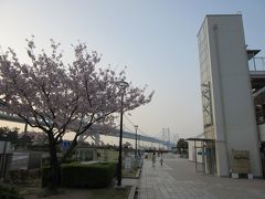 与島ＰＡの桜