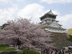 満開の桜と小倉城。
でも曇っているので今一つ映えない。。。