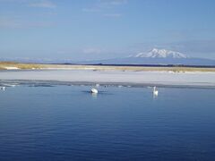 船を降り、白鳥のいる涛沸湖に寄りました。知床の山がきれいです。