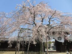 妙覺寺　織田信長が上洛時の宿坊