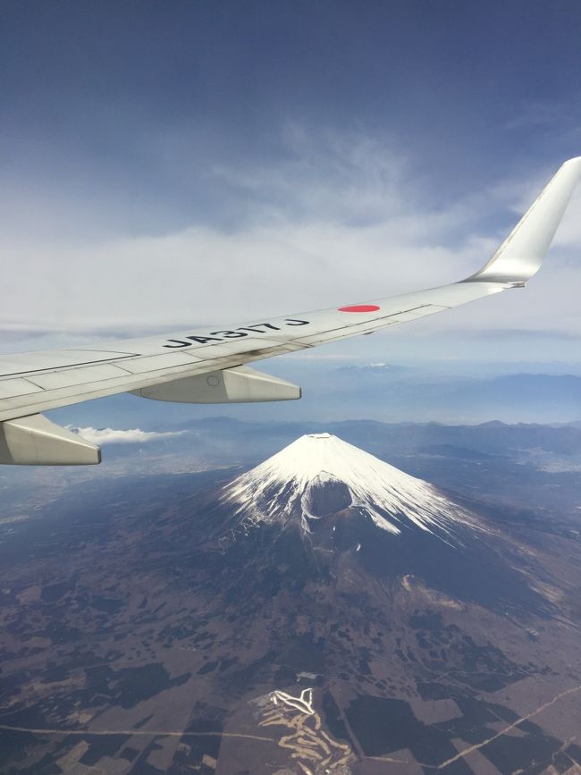 11時前発のJALに搭乗。富士山素晴らしい～