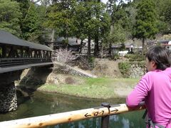 次にやってきたのは三嶋神社に架かる木の橋。