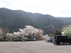 秋葉の駐車場に出ました。
中越家の下にも駐車場はあるのですが、ここから歩くことにします。
平日の月曜日。昨日の日曜日は大混雑だったようですが今日はがらがらです。