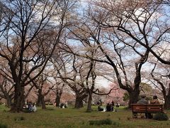 ２０１８．３．２４

次に訪ねたのは小石川植物園。桜並木と芝生広場です。
午前中早目の時間でしたが、すでにお花見をしている方々がいます。

桜の咲き具合は、見頃にはもう少しかなって感じです。

