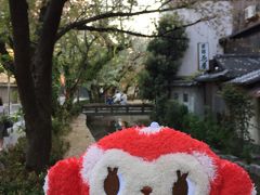 ところ変わって祇園。
もう4月は葉桜になっております。