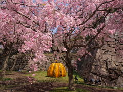 2018.3.30～2018.4.8
福岡城跡（舞鶴公園）で福岡城まるごとミュージアムが開催された。
二の丸のしだれ桜並木に展示された草間彌生《南瓜》を見学する。

南瓜より初めて来たのでしだれ桜並木に驚いた。
舞鶴公園すごい。