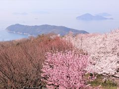 この岬が荘内半島の先端