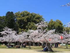 義安寺から道後公園（湯築城跡）へ。