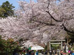 葛原岡神社に到着

15分あまりのハイキングで到着。
さくらいっぱいだ。