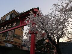 伝法院通りの桜。
空の色が変わり始めました。