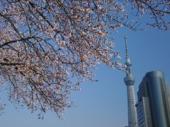 スカイツリーと桜！

春ならではのコラボ写真。