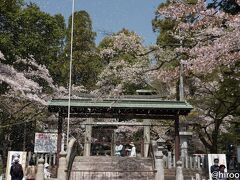 犬山城の入り口にある針綱神社です。桜吹雪が舞っています。
安産・子授けにご利益ありとのこと