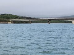 ほぼツアーの貸し切りです。
大原港から仲間橋をくぐると仲間川の河口です。
ちょうど海水と川の水が合流するところですね。