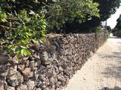 竹富島の古民家集落を散策します。

あちこちにさんごでできた石垣が並び、ブーゲンビリアの花とあのオレンジの屋根が島のシンボルですね。