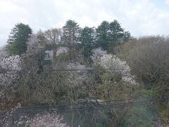 濠の向こうは射水神社。お城の中の神社。めずらしい。いつからあるのでしょうか。