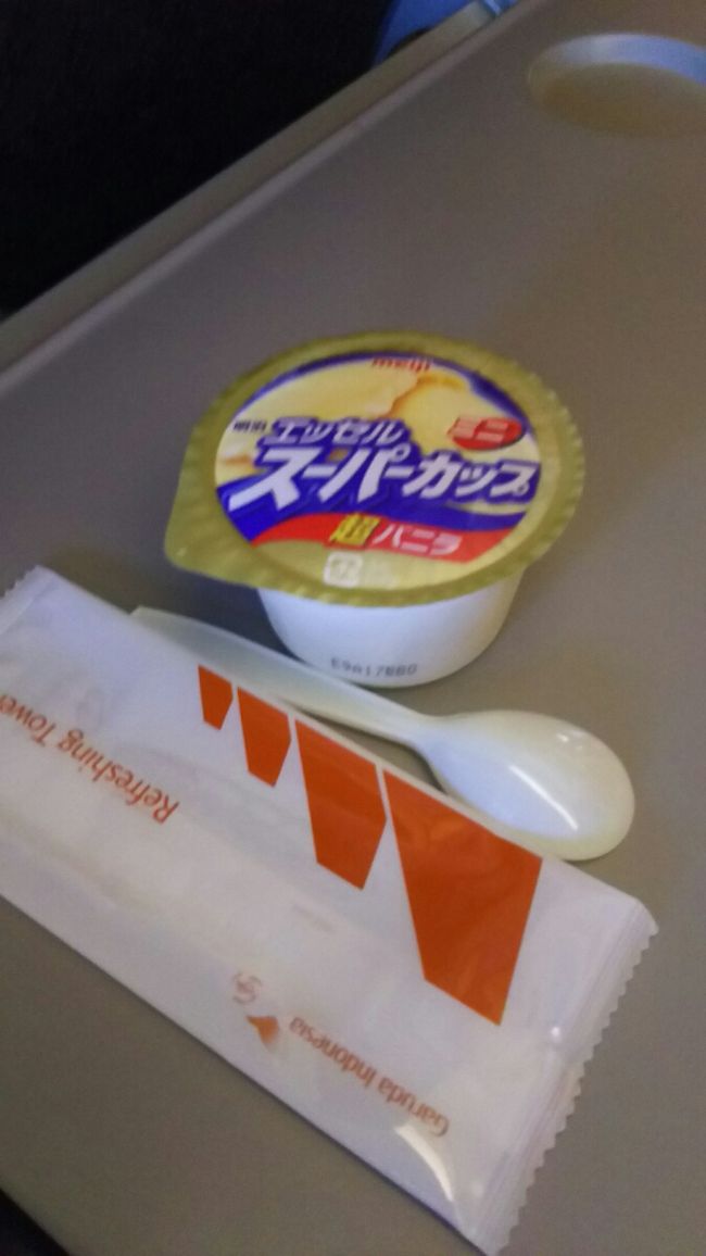 着陸前にはスーパーカップ。<br /><br />ほぼ定刻通りにングラライ空港に到着。<br />入国審査もさくさく進み、バゲッジクレイムへ。<br /><br />時間がかかるのは覚悟していても、<br />この日は相当かかった気がしました。<br /><br />同じ時刻に到着した飛行機が多かったのかな？<br /><br />それに受取レーンも２度も変更され、<br />そのたびに皆で大移動をして、<br />ちょっと面白かったです。<br /><br />受取レーンの傍で、スーツケースから何かが漏れていたのか<br />液体状のものを触り、茫然としていたオージーらしき若者がいて<br />あれはシャンプーか何かだったのか。<br /><br />彼の旅行が良い思い出になった事を願わずにはいられません。
