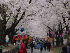 赤城南面三本桜の駐車場には、9時に到着しました。