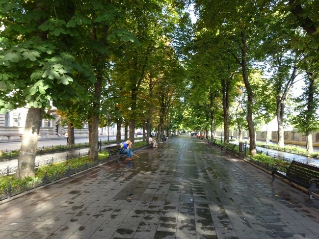 海岸への道は後回しにして、プリモールスキー並木通りを歩きます。木漏れ日がいい感じです。