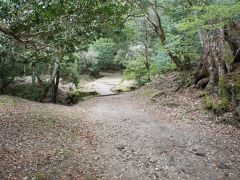 志賀直哉の旧宅を過ぎて、ささやきの小径を。
夜間は通行禁止なんですって。
確かに街灯もなく、夜は真っ暗で遭難しそう。
