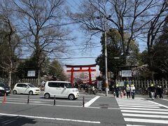 25分くらい歩くと見えてまいりました。
平野神社到着です。

時間にすると25分！ですが、ぶらぶら歩いていたのでそんなに遠かったとは感じませんでしたが、バス停８個分なので、足に自信の無い方にはバスで行くことをおすすめします。