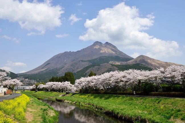 由布院の桜2018』湯布院・由布院温泉(大分県)の旅行記・ブログ