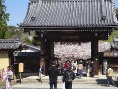 建長寺　総門

後半の花めぐりは建長寺からスタート。
鎌倉五山第一位、臨済宗建長寺派大本山である。

