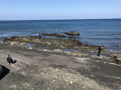 見物海岸で小休止。天気は良いが、向かい風がやや強い。