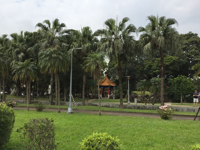 近くの公園は南国の草木が茂っていて沖縄のような雰囲気。。