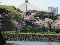 目的地に向かう途中に武道館が見えてきました。金色のたまねぎがちゃんと乗ってるー。そんなことを考えながら歩いていきます。