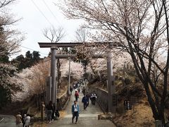 山道を走ること約15分、「奥千本口」へ。

12時15分、金峯神社の修行門をくぐると、参道に満開のソメイヨシノが！