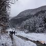 長野県・久しぶりの日本家族小旅行（3/3 地獄谷のスノーモンキー＆長野・善光寺ちょっと編） 