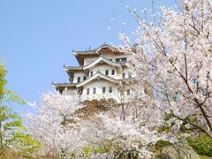 見上げると、尾道城（元博物館）と桜。