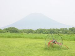 そこから向かったのは、牧場です。雄大な自然を満喫したかったので、この景色、癒されるー！