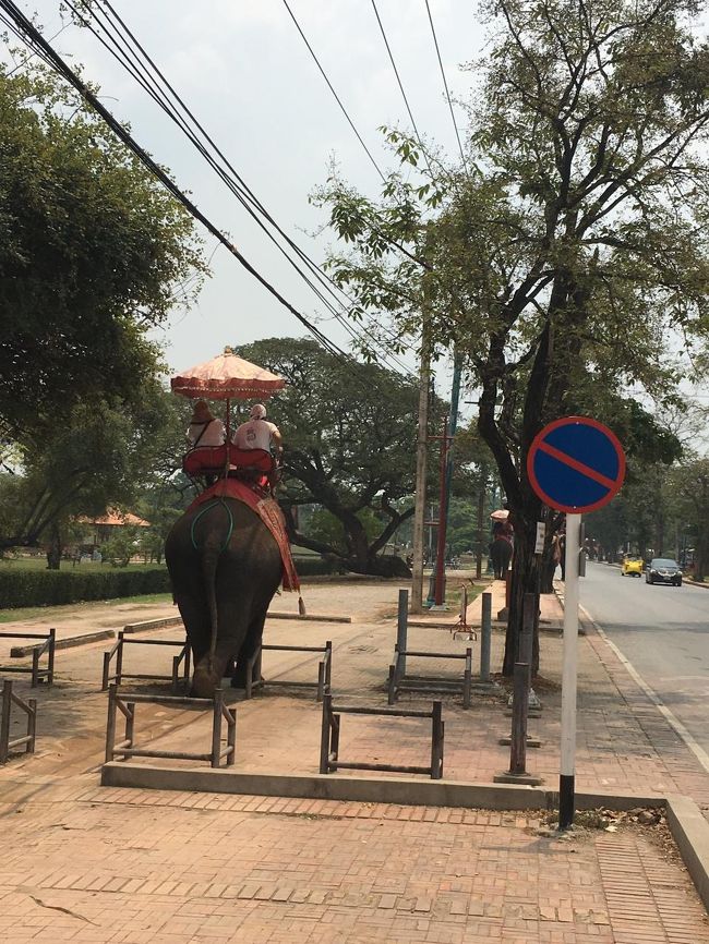 あーでも楽しそう<br />乗っても良かったかなぁ